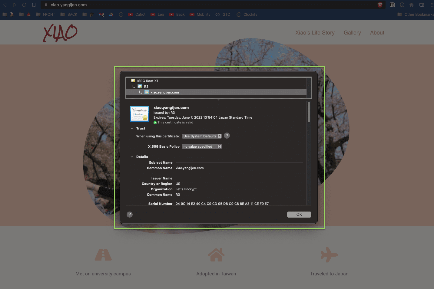 Setup DNS for static page with Netlify and Route 53